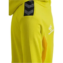 hummel hmlAUTHENTIC Poly Hoodie Kinder 5269 blazing yellow 116