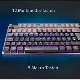 EAXUS Eaxus® Mechanische Gaming Tastatur - LED Gaming Keyboard mit Makrotasten & Blue Switches, USB 1000 Hz Pollingrate, QWERTZ, Schwarz