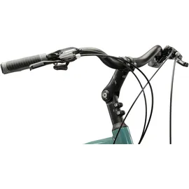 KROSS Trans 3.0 28 Zoll RH 58 cm Herren grün/schwarz