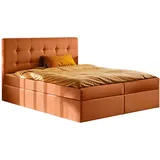 Kaiser Möbel Boxbett, Orange H3, 160x200 cm Schlafzimmer, Betten, Boxspringbetten