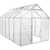 ZELSIUS Gewächshaus Treibhaus 6 mm Verglasung Aluminium ca. 5,90 m2 Tomatenhaus