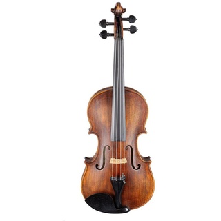 Stentor Violine, Violinen / Geigen, Akustische Violinen, 4/4 Violine Arcadia Antique - Violine