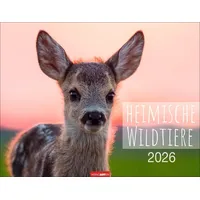 Weingarten Heimische Wildtiere Kalender 2026 / Weingarten