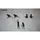 Avento Avento, Medizinball 6 kg 230 mm)