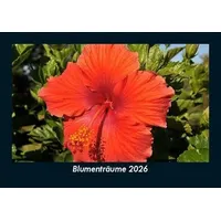 Vero Kalender Blumenträume 2026 Fotokalender DIN A5 von Tobias