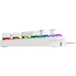 GENESIS Thor 303 Outemu Braun DE