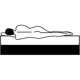 vidaXL Boxspringbett 100 x 200 cm Dunkelgrau