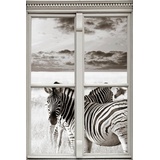 queence Wandsticker »Zebras«, grau