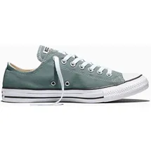 Converse Chuck Taylor All Star Herren Grau 42,5