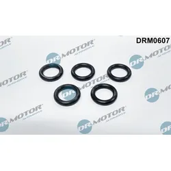 Dr.Motor Automotive Dichtung, Ölsieb 5x für OPEL 55588013 DRM0607