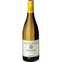 Chardonnay Gloria Weingut Kollwentz 2022