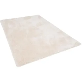 Snapstyle Hochflor Shaggy Teppich Luxus Feeling Mix (80 x 160 cm,