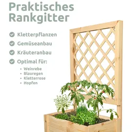 holz4home® holz4home Pflanzkasten mit Rankgitter Pflanzkübel mit Rankgitter Spalier für Rankpflanzen S