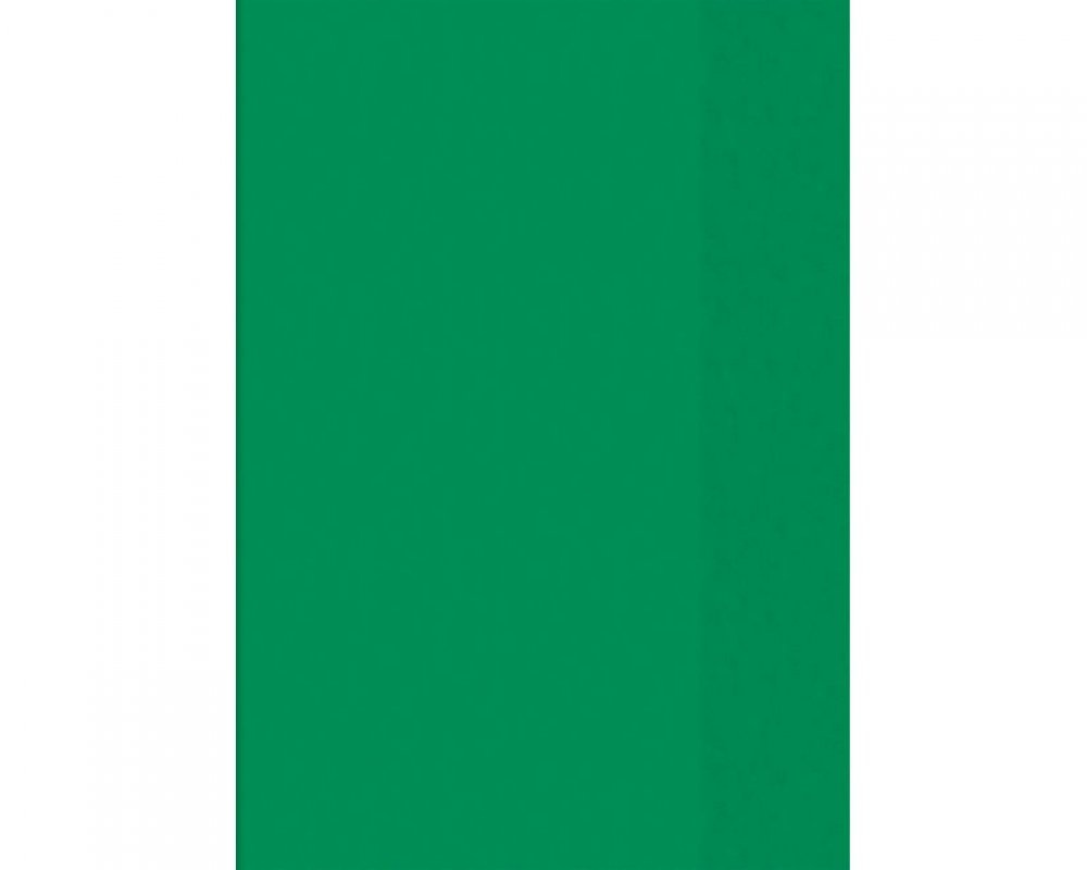 Heftumschlag A5, transparent, grün