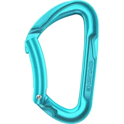 Karabiner Edelrid Pure Bent Eisminze hellblau No Size