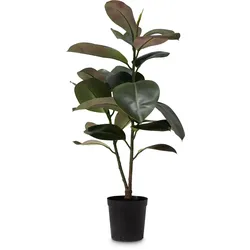 Ficus Elastica Kunstpflanze 95 cm