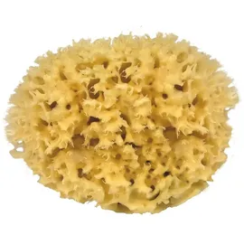 Croll & Denecke Naturschwamm Medium 13cm