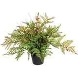 Creativ green Künstliche Zimmerpflanze »Farnbusch«, grün