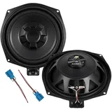 ESX SIGNUM SXB8W