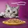 Whiskas 443098 Katzen-Dosenfutter 85 g