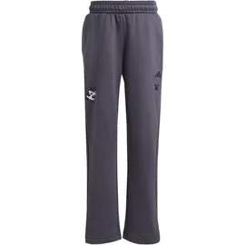 adidas Minecraft Trainingsanzug Grau 98