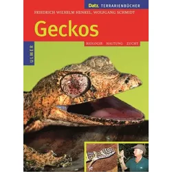 Geckos