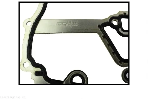 AUTOMEGA Dichtung, Steuergehäuse 190048210 für Opel GM