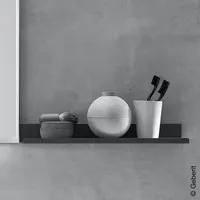 Geberit Wandablage 45x5,5x13cm, lava/pulverbeschichtet matt