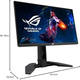 Asus ROG Swift PG248QP 24,1" schwarz