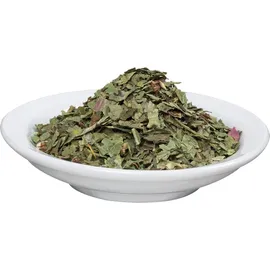 SALUS Löwenzahn Arzneitee Taraxaci rad.c.herb.Bio Salus