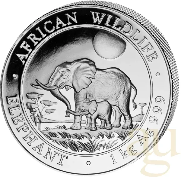 1 Kilogramm Silbermünze Somalia Elefant 2011