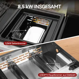 Royal Gourmet Tragbarer Gasgrill 3 in 1