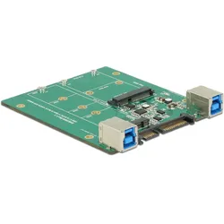 Delock Converter SATA / USB 3.1 type B socket> M.2 / mSATA slot - Speicher-Contr