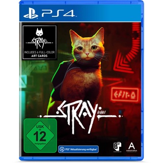NBG Stray (PlayStation 4)