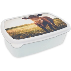 MuchoWow Lunchbox Kuh – Tier – Sonne – Braun, Kunststoff, (2-tlg), Brotbox für Kinder und Erwachsene, Brotdose, für Jungs und Mädchen weiß