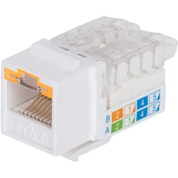 Intellinet Abschließbare Cat6 Modularbuchse, ungeschirmt, UTP, Keystone, werkzeu
