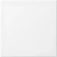 Busch-Jaeger Wippe 2506-914