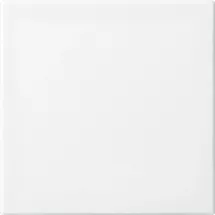 Busch-Jaeger Wippe 2506-914