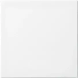 Busch-Jaeger Wippe 2506-914