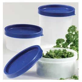 Westmark Trio transparente Kräuterdosen 4-teilig 0,1 l