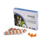 Antinol Katze 60 Kapseln