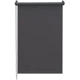 Sekey Seitenzugrollo Verdunkelungsrollo 60 x 130 cm grau