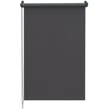 Sekey Seitenzugrollo Verdunkelungsrollo 60 x 130 cm grau