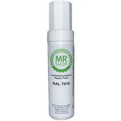 MR-Shop Lackstift RAL-Farben für Einstabmattenzaun, Anthrazitgrau