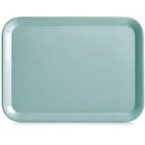 Zeller 26698 Melamintablett, Melamin, Aqua, ca. 43.5 x 32.5 cm, Serviertablett, stapelbar, Kratzfest