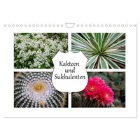 Calvendo Kakteen und Sukkulenten (Wandkalender 2026 DIN A4 quer),