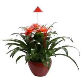 Parus by Venso SUNLiTE 7W LED Pflanzenlampe Rot