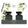 ipuro Essentials black bamboo Raumduftset 50 ml