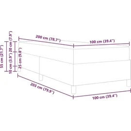 vidaXL Boxspringbett 100 x 200 cm Hellgrau