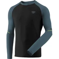Dynafit Herren Alpine Pro Longsleeve (Größe XXL, grau)